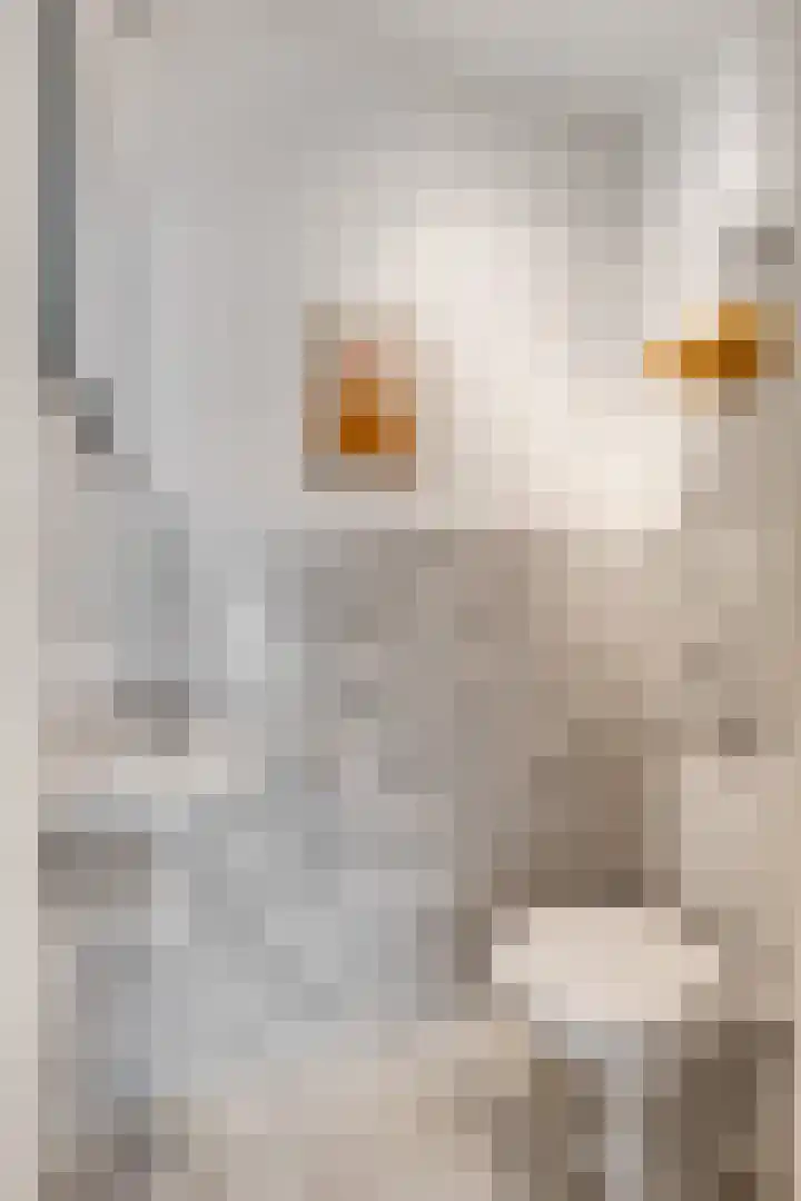 Margrietlaan 20 Ede thumbnail 15