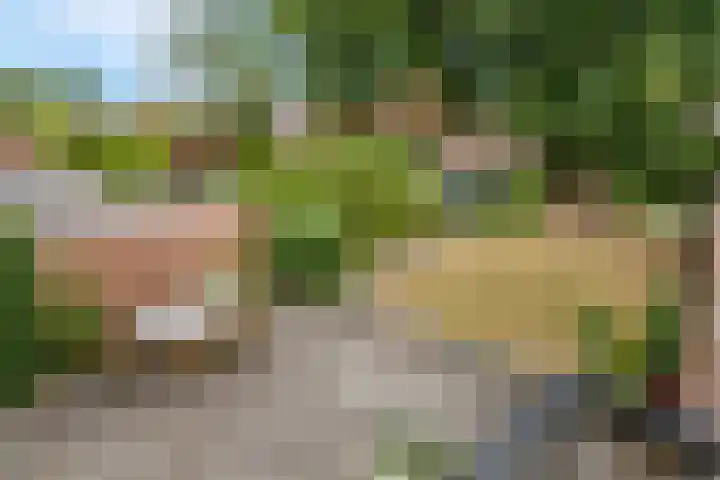 Margrietlaan 20 Ede thumbnail 19