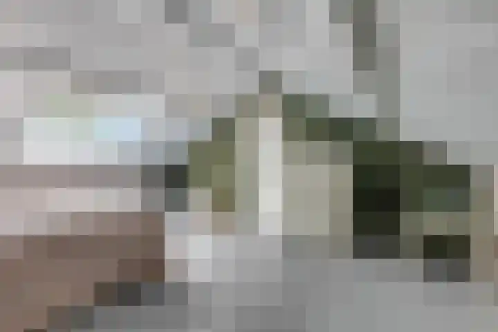 Margrietlaan 20 Ede thumbnail 30
