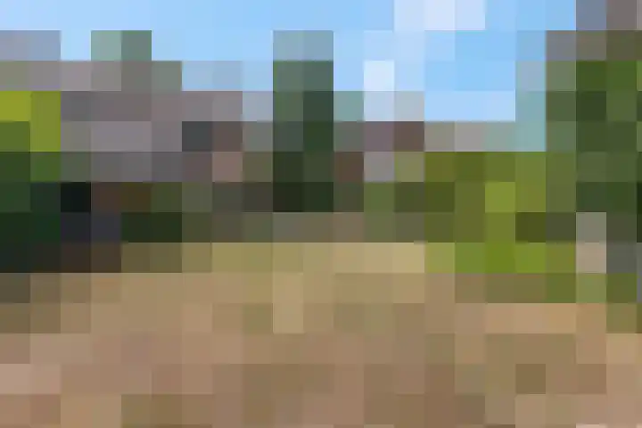 Margrietlaan 20 Ede thumbnail 33