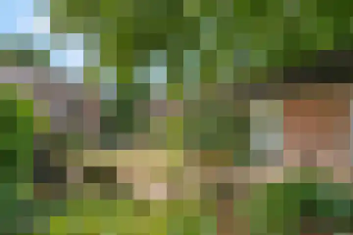Margrietlaan 20 Ede thumbnail 37