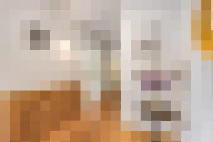 Margrietlaan 20 Ede thumbnail 4