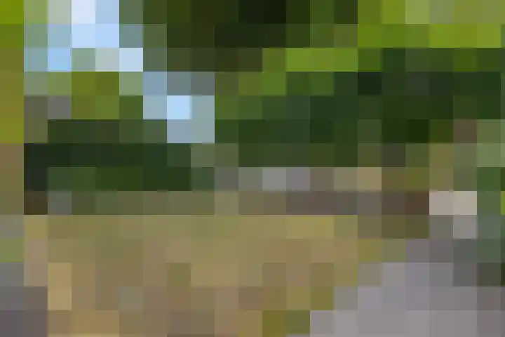 Margrietlaan 20 Ede thumbnail 43