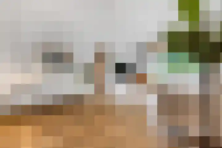 Margrietlaan 20 Ede thumbnail 7