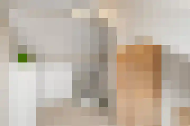 Margrietlaan 21 Bennekom thumbnail 25