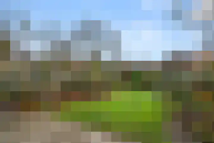 Margrietlaan 21 Bennekom thumbnail 4