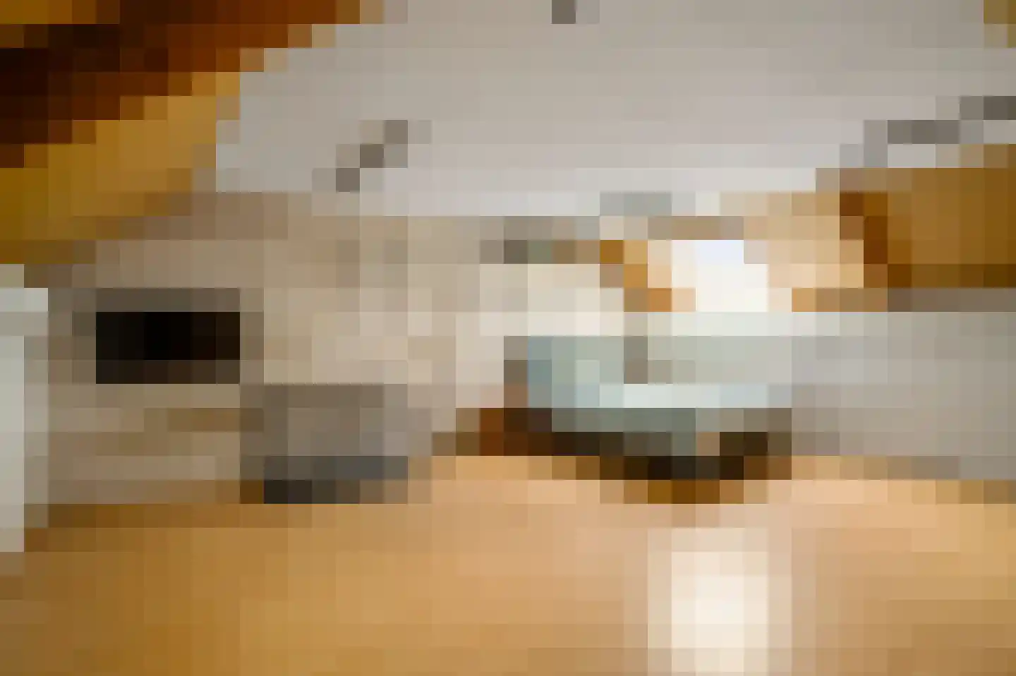 Margrietlaan 24 Roermond thumbnail 29