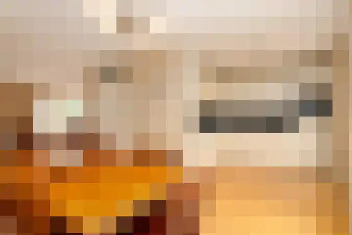 Margrietlaan 26 Langbroek thumbnail 10