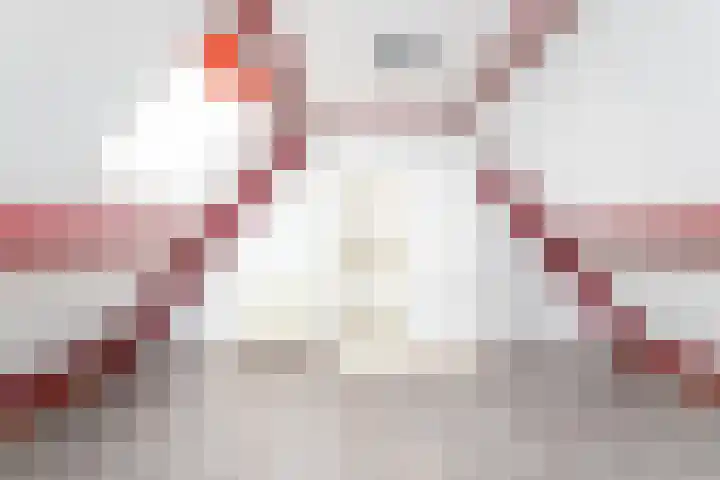 Margrietlaan 26 Langbroek thumbnail 24