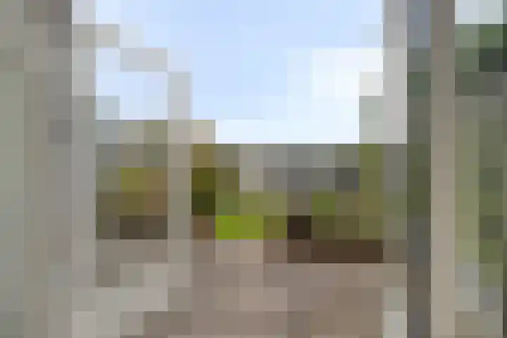 Margrietlaan 27 't Veld thumbnail 15
