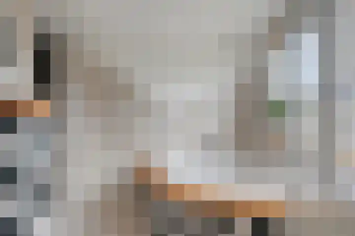 Margrietlaan 27 't Veld thumbnail 22