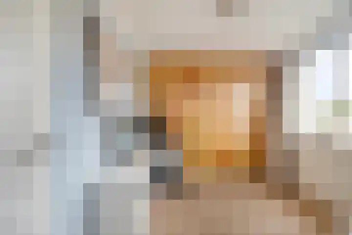 Margrietlaan 27 't Veld thumbnail 26