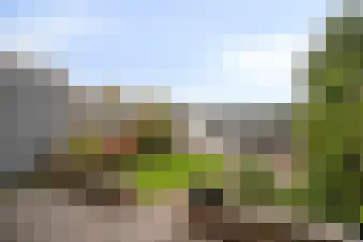 Margrietlaan 27 't Veld thumbnail 35