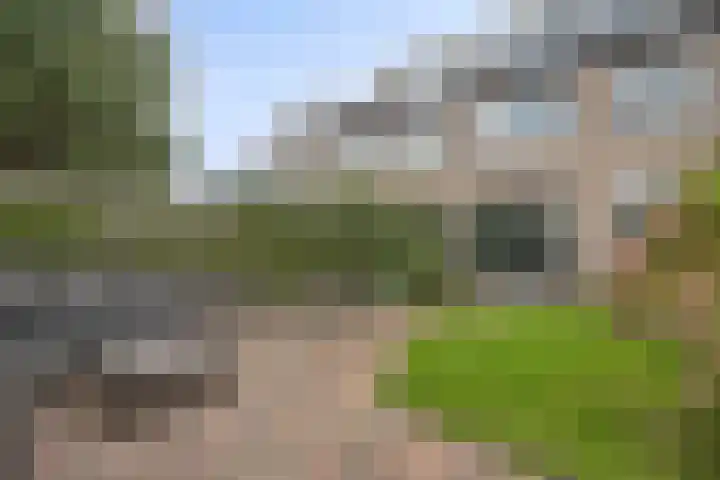 Margrietlaan 27 't Veld thumbnail 38