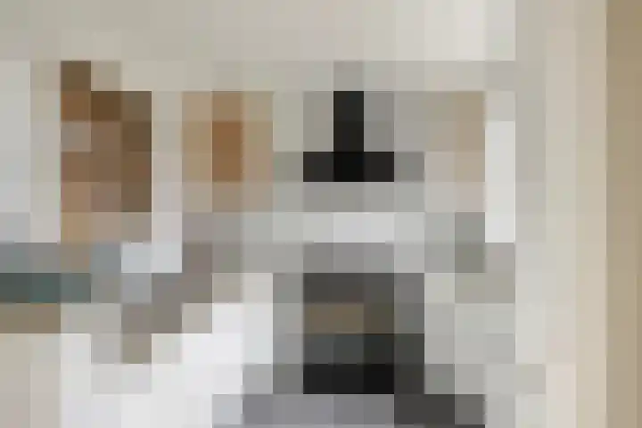 Margrietlaan 27 't Veld thumbnail 4