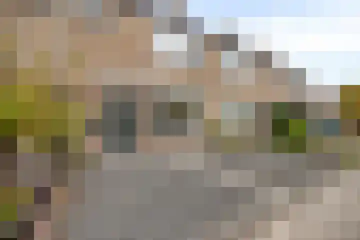 Margrietlaan 27 't Veld thumbnail 7