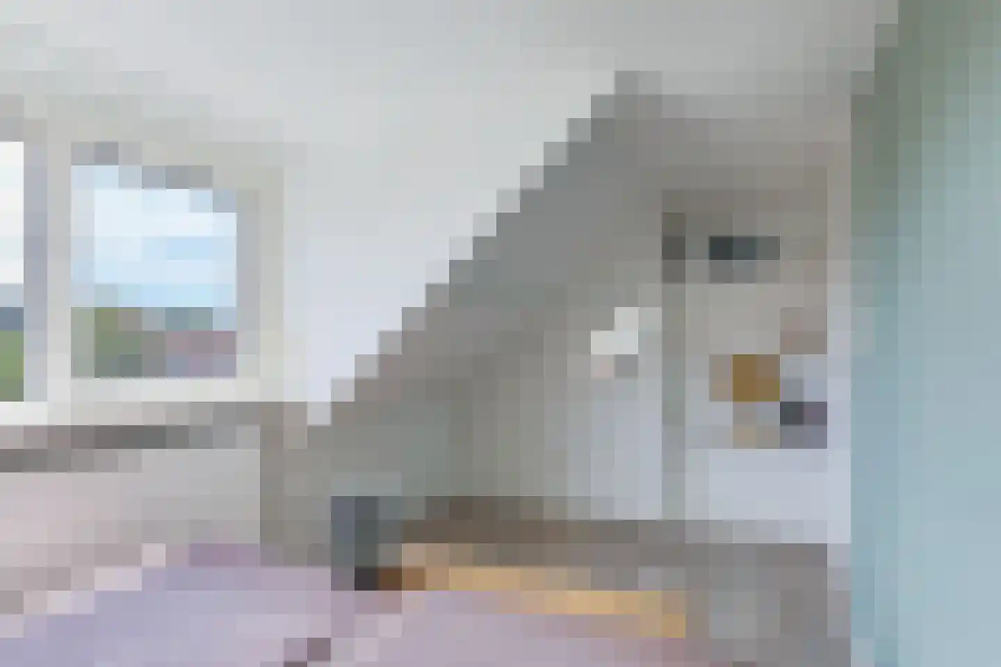 Margrietlaan 3 Hoevelaken thumbnail 25