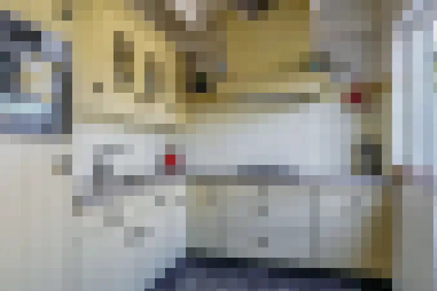 Margrietlaan 3 Hoevelaken thumbnail 9
