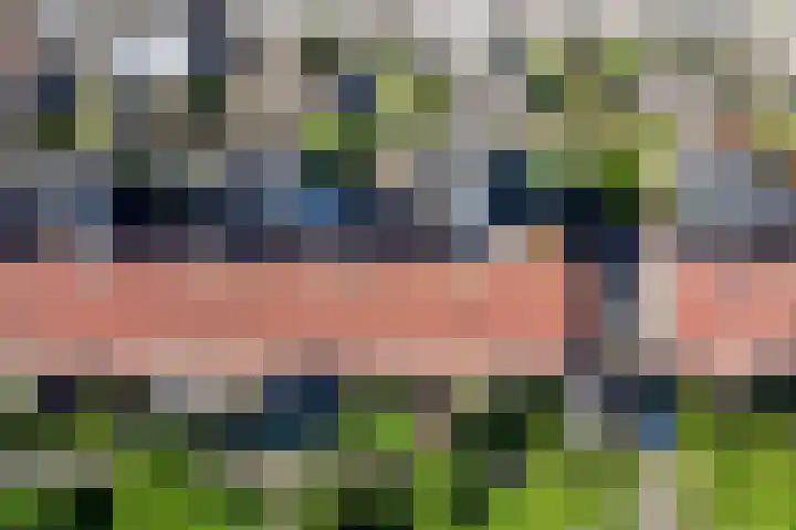 Margrietlaan 31 Helmond thumbnail 28