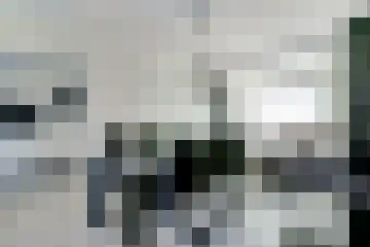 Margrietlaan 31 Helmond thumbnail 8