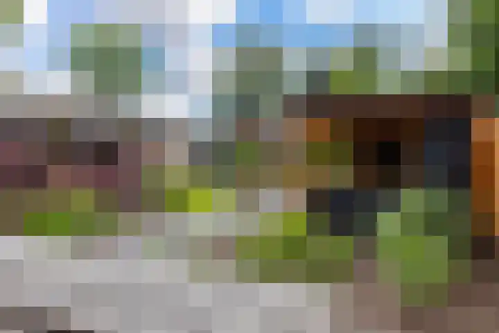 Margrietlaan 4 Schoonebeek thumbnail 10