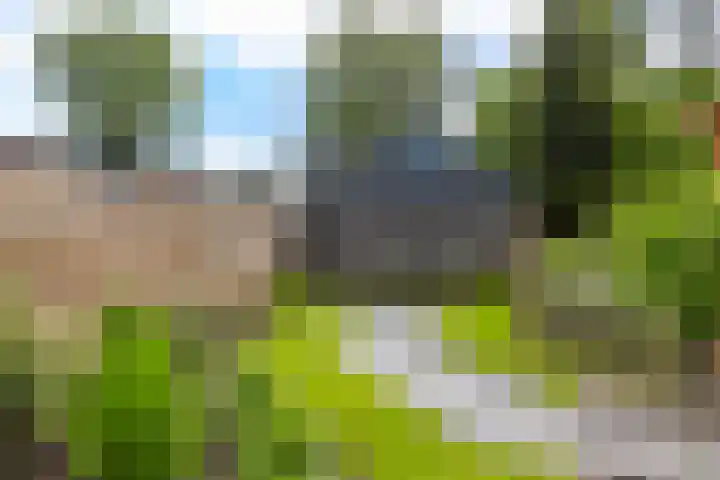 Margrietlaan 4 Schoonebeek thumbnail 12