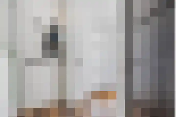 Margrietlaan 4 Schoonebeek thumbnail 18