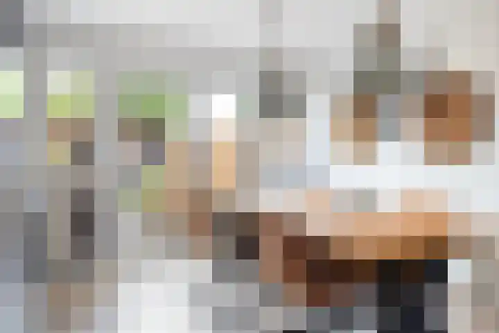 Margrietlaan 4 Schoonebeek thumbnail 20