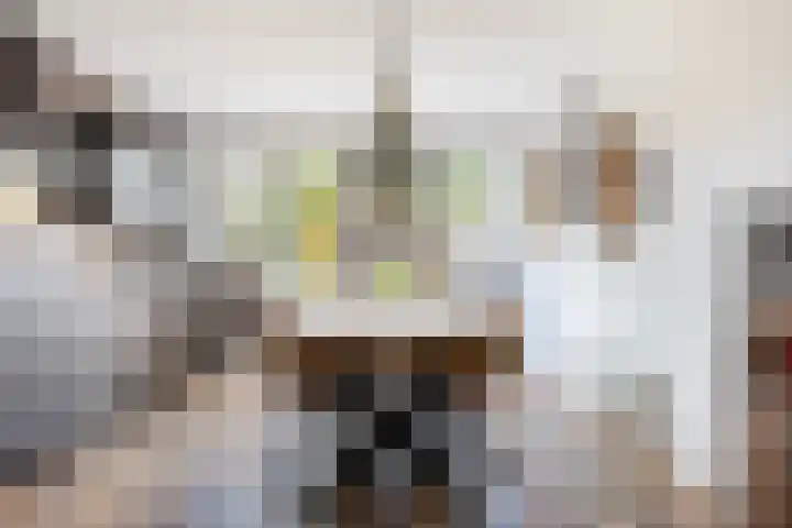Margrietlaan 4 Schoonebeek thumbnail 22