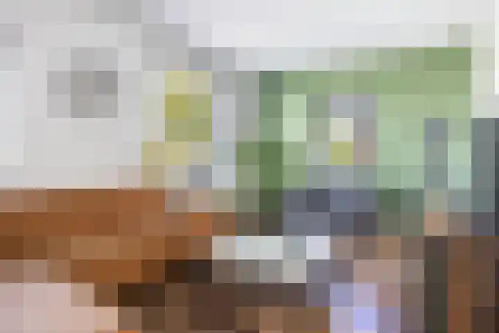 Margrietlaan 4 Schoonebeek thumbnail 25