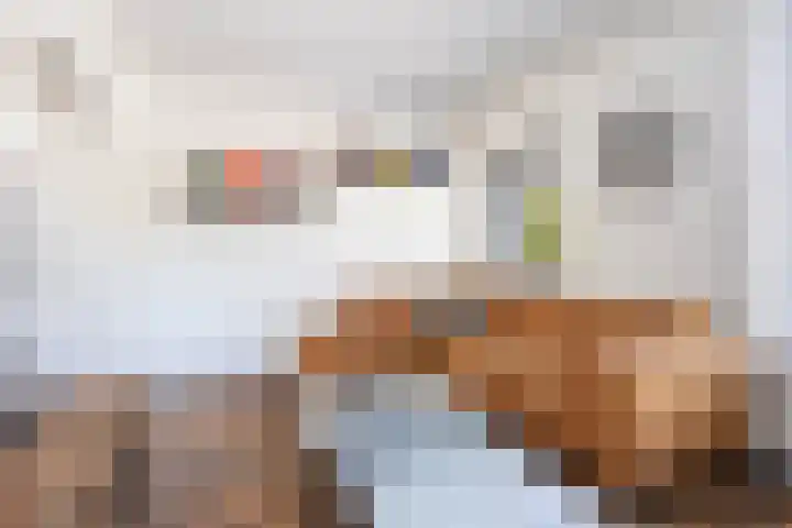 Margrietlaan 4 Schoonebeek thumbnail 26
