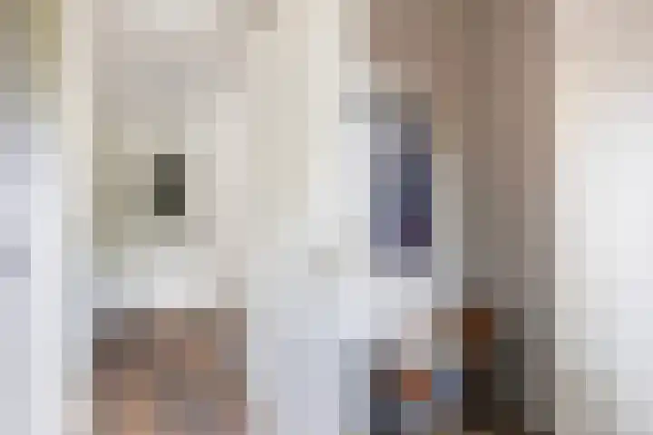 Margrietlaan 4 Schoonebeek thumbnail 32