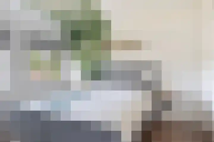 Margrietlaan 4 Schoonebeek thumbnail 37