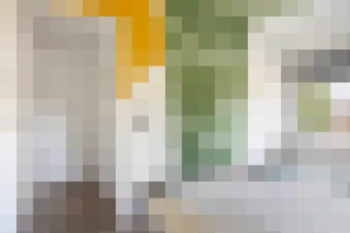 Margrietlaan 4 Schoonebeek thumbnail 38
