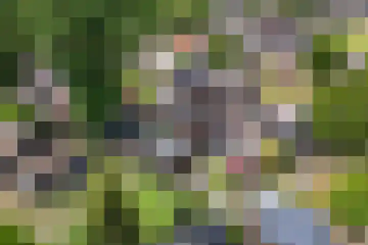 Margrietlaan 4 Schoonebeek thumbnail 44