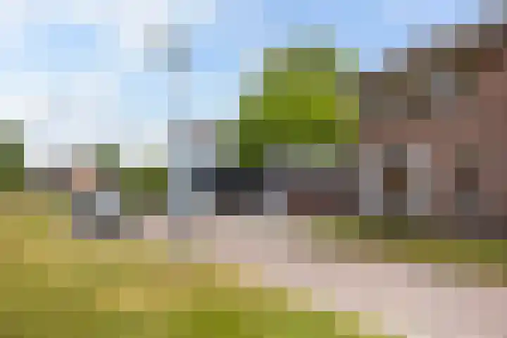 Margrietlaan 4 Schoonebeek thumbnail 46