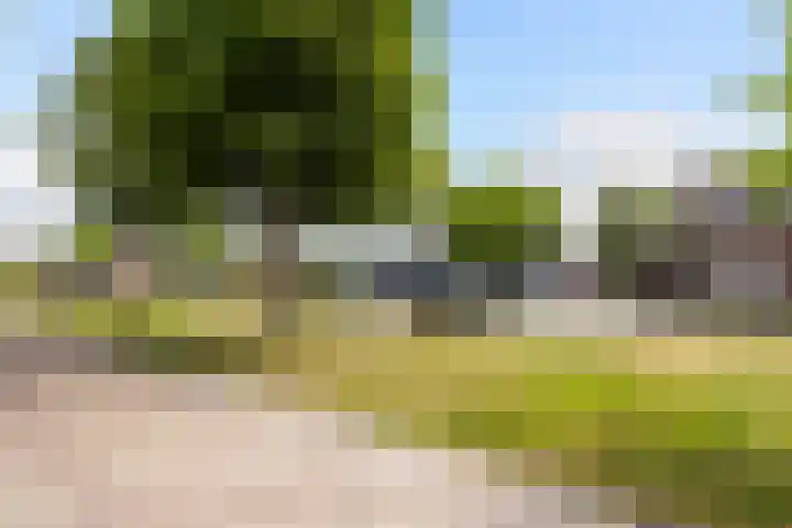 Margrietlaan 4 Schoonebeek thumbnail 47
