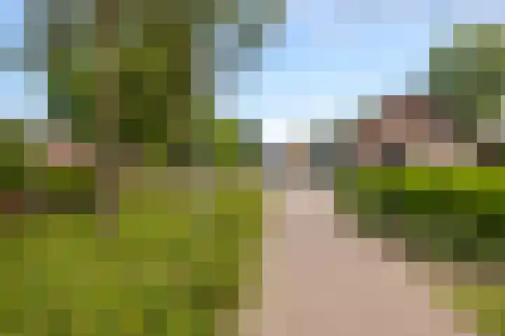 Margrietlaan 4 Schoonebeek thumbnail 48