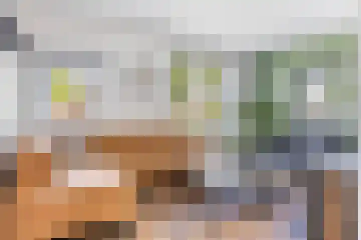 Margrietlaan 4 Schoonebeek thumbnail 5