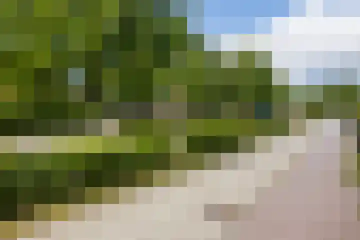 Margrietlaan 4 Schoonebeek thumbnail 50