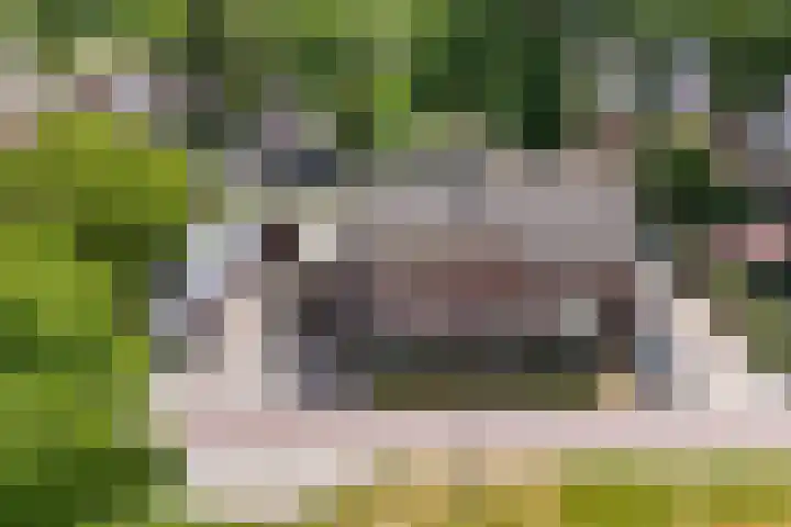 Margrietlaan 4 Schoonebeek thumbnail 7