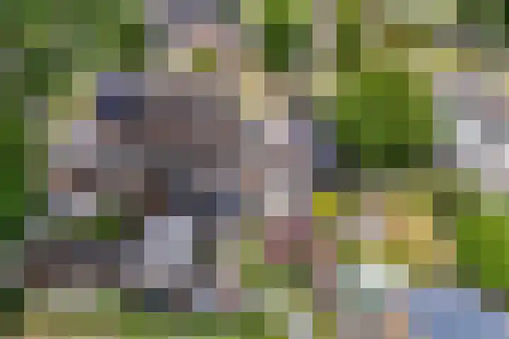 Margrietlaan 4 Schoonebeek thumbnail 8