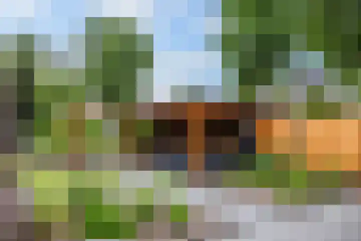 Margrietlaan 4 Schoonebeek thumbnail 9