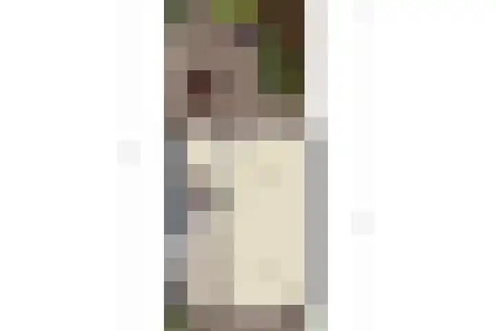 Margrietlaan 46 't Veld thumbnail 30