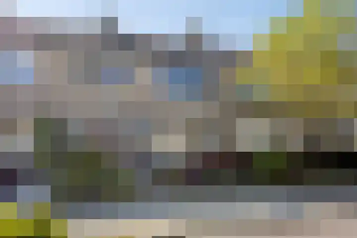 Margrietlaan 46 't Veld thumbnail 5