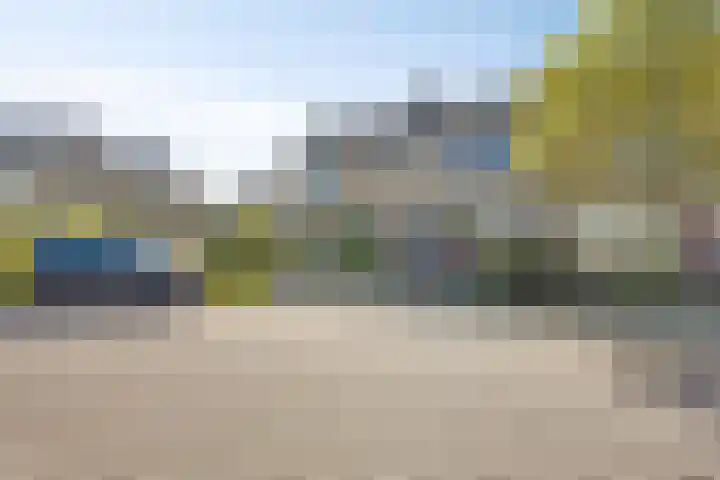 Margrietlaan 46 't Veld thumbnail 6