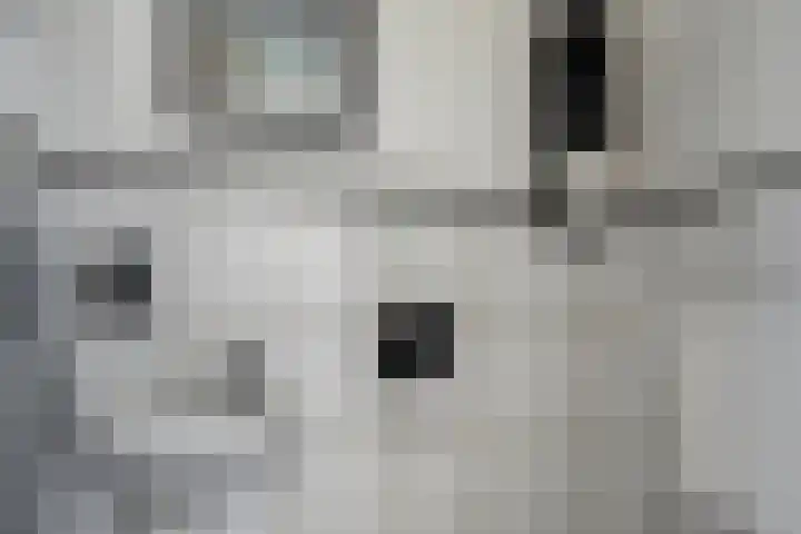 Margrietlaan 46 't Veld thumbnail 8