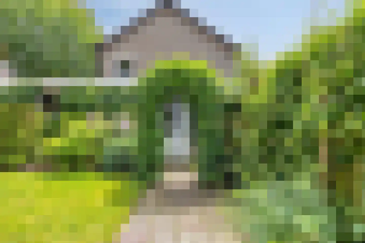 Margrietlaan 48 Weert thumbnail 44