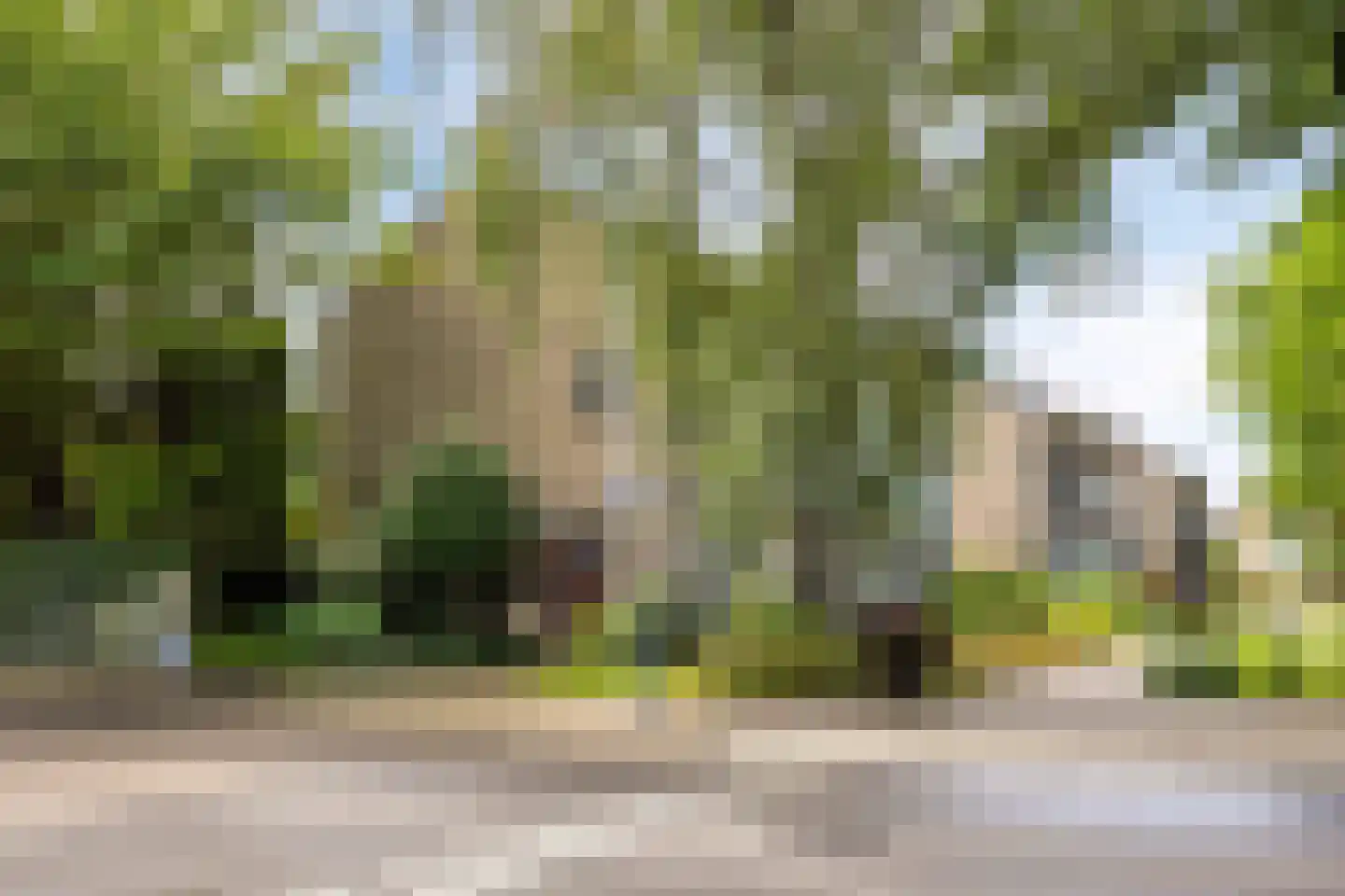 Margrietlaan 48 Weert thumbnail 47
