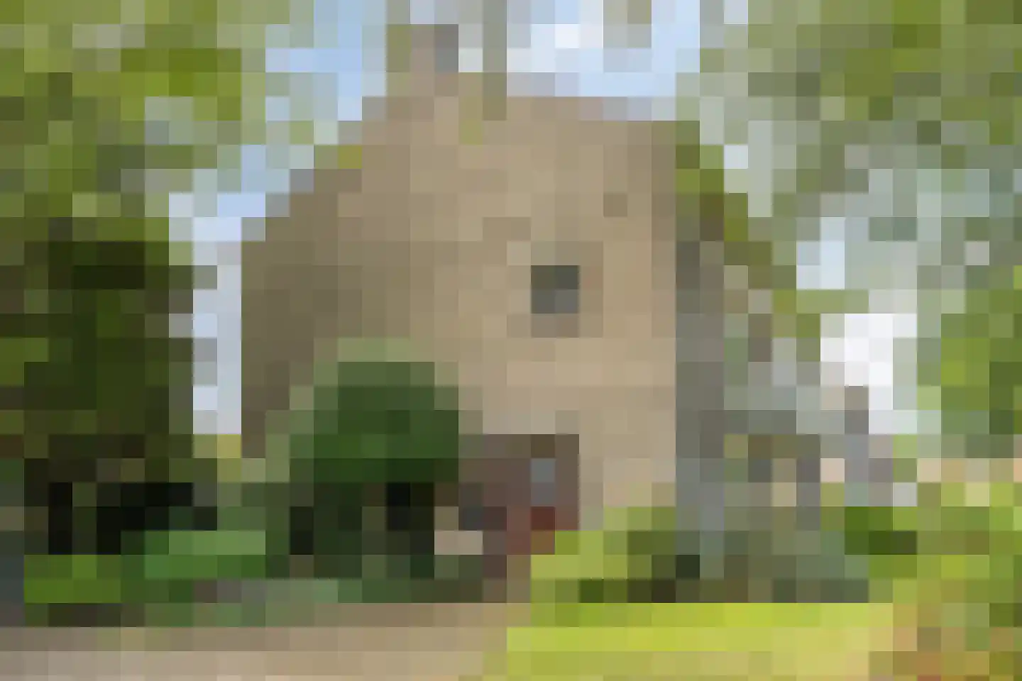 Margrietlaan 48 Weert thumbnail 6